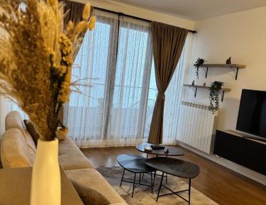 Two-Bedroom Apartment with River View