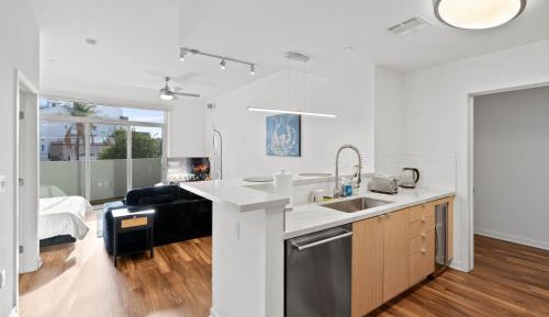 Deluxe One-Bedroom Apartment with City View