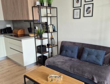 One-Bedroom Apartment with Balcony and Mountain View  