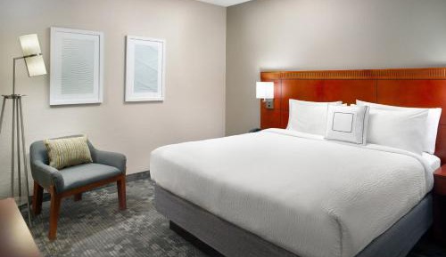 One-Bedroom King Suite with Sofa Bed