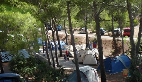 Empty Pitch for Tent