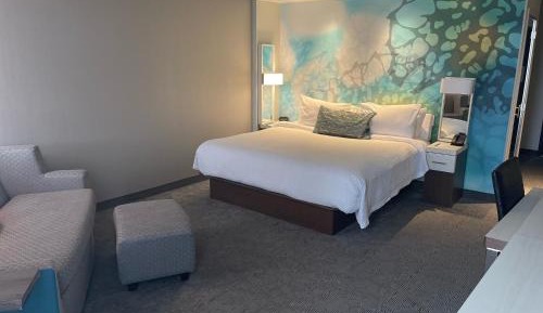 Executive, Guest room, 1 King, Sofa bed