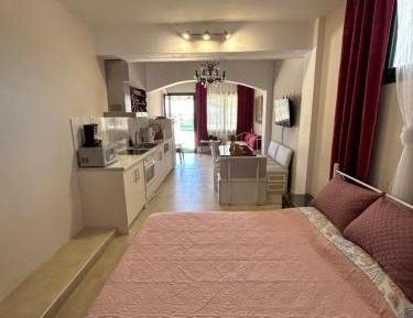 One-Bedroom Apartment with View