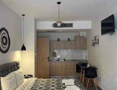 Studio with Sofa Bed