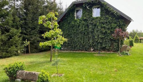 Villa with Garden View