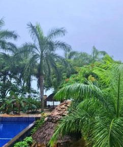 Four-Bedroom Deluxe Home - Oceanfront