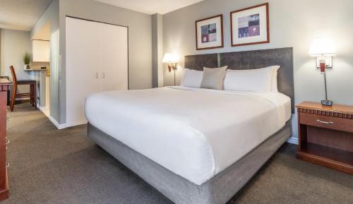 Junior King Suite