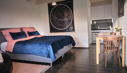Classic One-Bedroom Apartment with King Bed