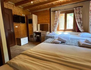 Triple Room with Mountain View