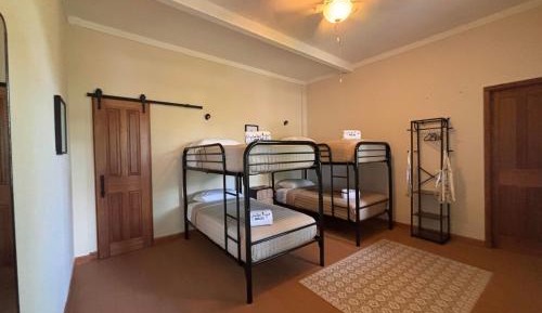 Bed in 4-Bed Mixed Dormitory Room
