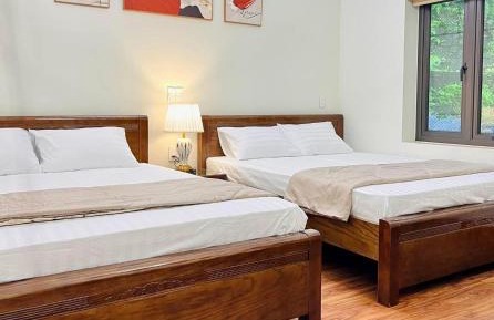 Large Double or Twin Room