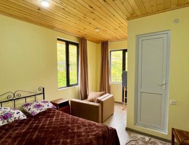 Double Room with Mountain View