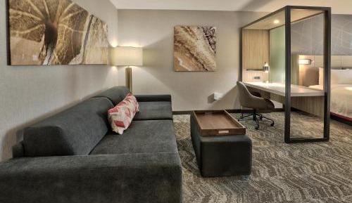 Suite, 1 King, Sofa bed, City view