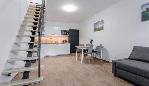 Duplex Apartment
