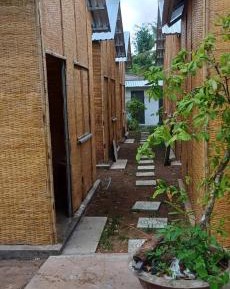 6-Bed Mixed Dormitory Room