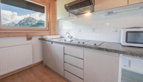 Apartment with Mountain View