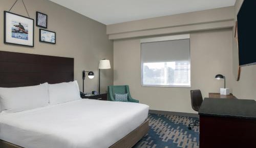 Suite, 1 King with Sofa Bed