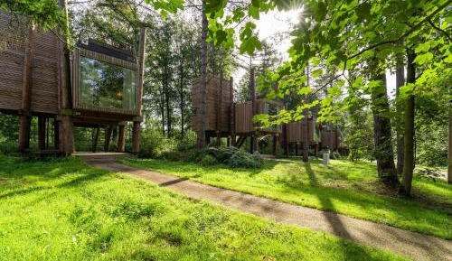 One-Bedroom Holiday Home