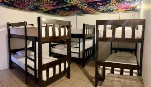 6-Bed Mixed Dormitory Room