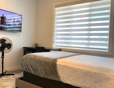 Standard Queen Room