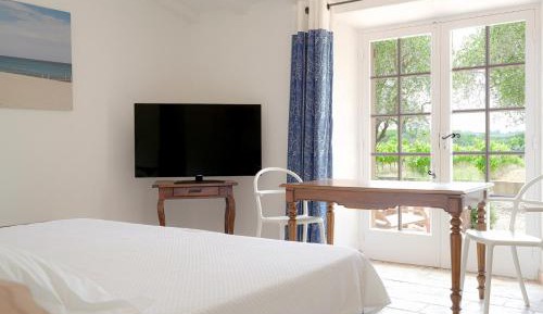 Superior Room with Terrace - Vineyards View 
