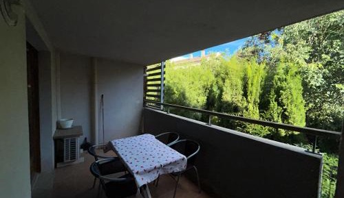One-Bedroom Apartment with Garden View