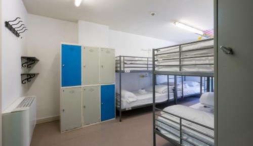 Bed in 8-Bed Dormitory Room