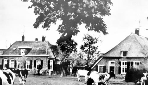 Five-Bedroom House