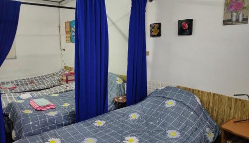 4-Bed Mixed Dormitory Room