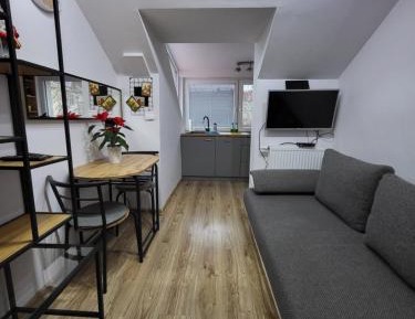 Apartment with Shower