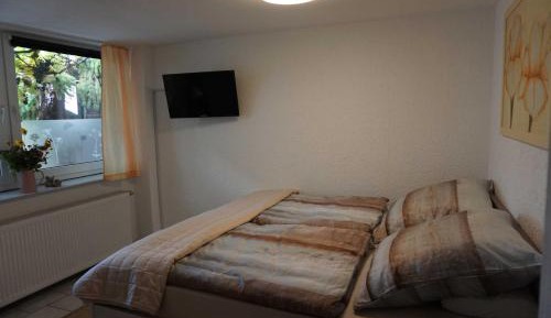 Three-Bedroom Apartment with Terrace