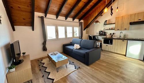 Studio with Sofa Bed