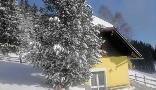 One-Bedroom Holiday Home