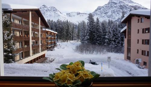 Apartment with Mountain View