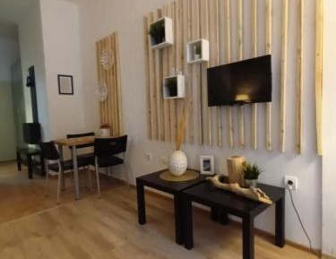 Studio with Terrace
