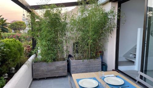Apartment with Terrace