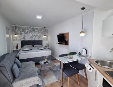 King Studio with Sofa Bed