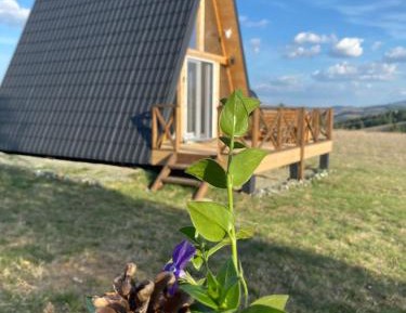 One-Bedroom Chalet