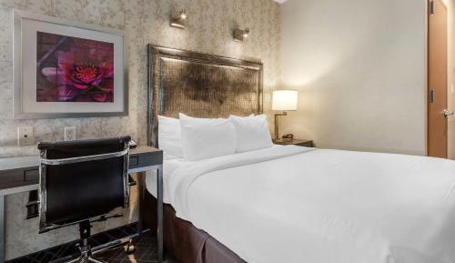 Queen Room - Disability Access/Non-Smoking