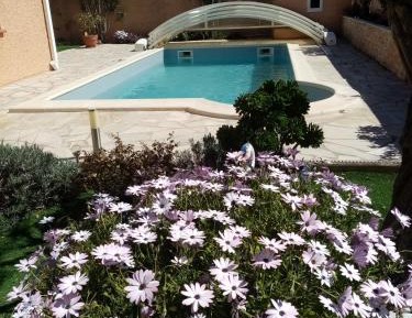 Double Room with Pool View
