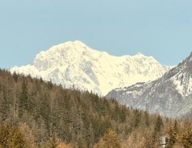 Superior Studio