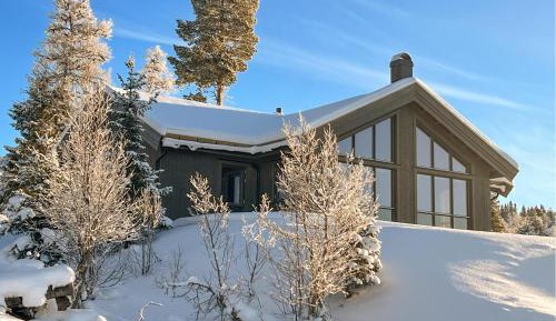 Three-Bedroom Holiday Home 