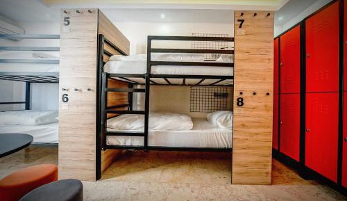 Bunk Bed in Mixed Dormitory Room