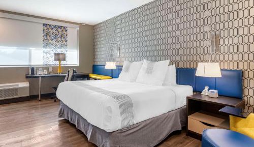 King Room with Mobility Accessible Roll-In Shower