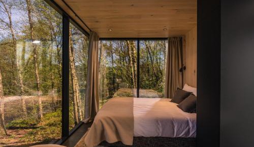 Studio with Garden View