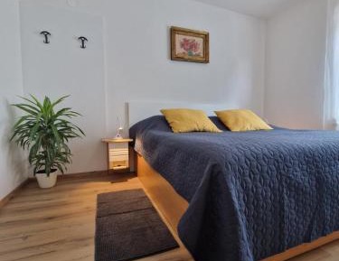 Apartment - Ground Floor