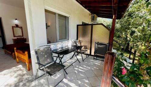 Studio with Garden View