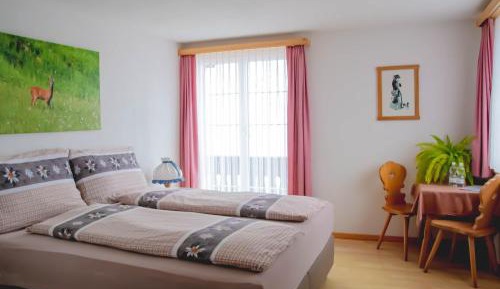 Deluxe Double Room with Shower