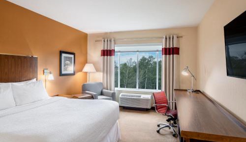 Guest Room, 1 King