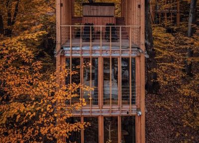 Deluxe Treehouse